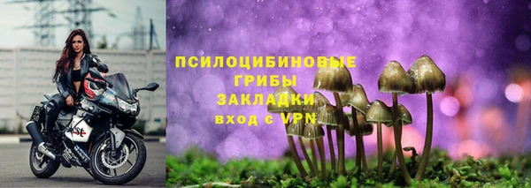jwh Абаза
