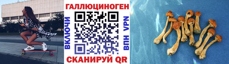 купить наркоту  Ярославль  Псилоцибиновые грибы Magic Shrooms 